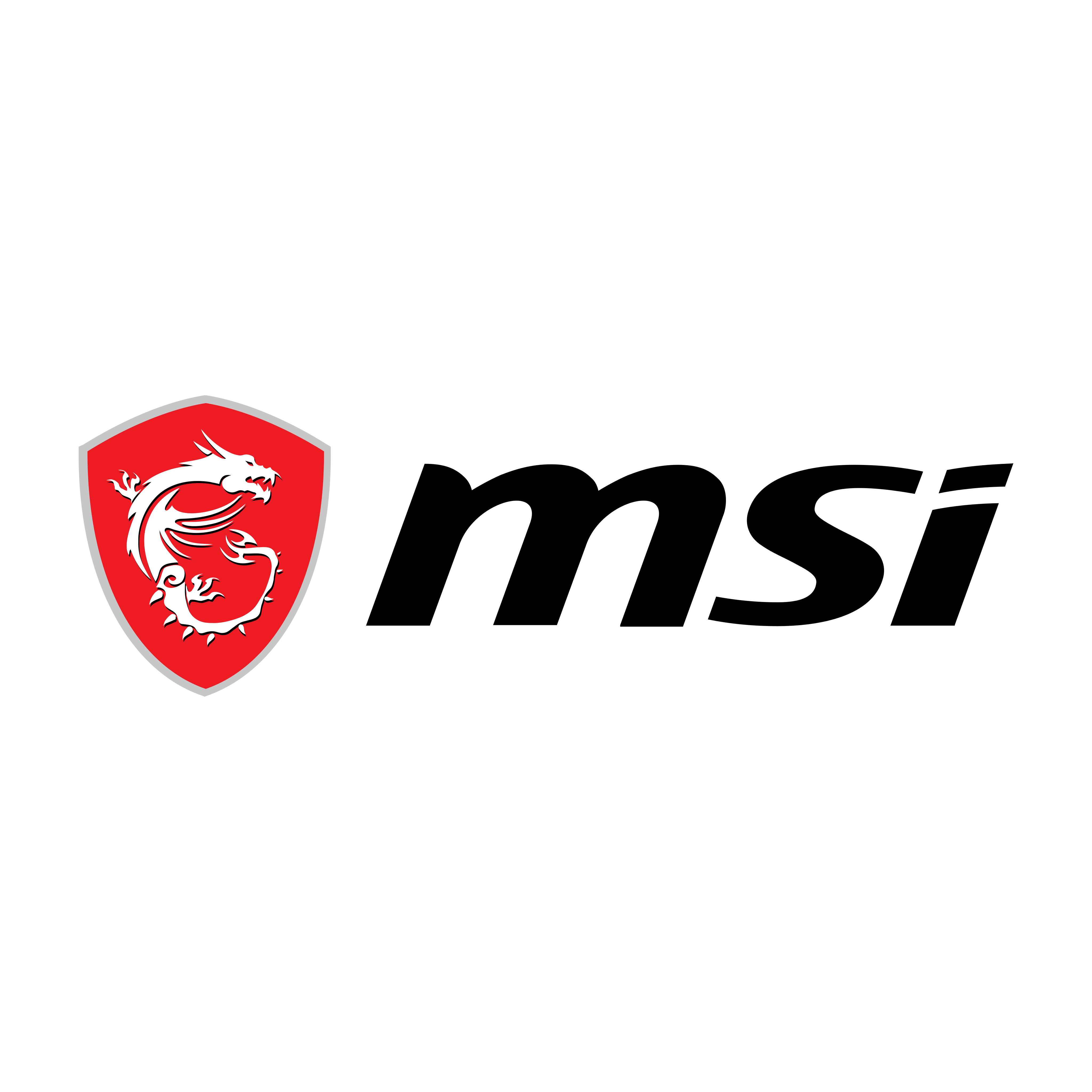 Logo MSI in formato PNG.