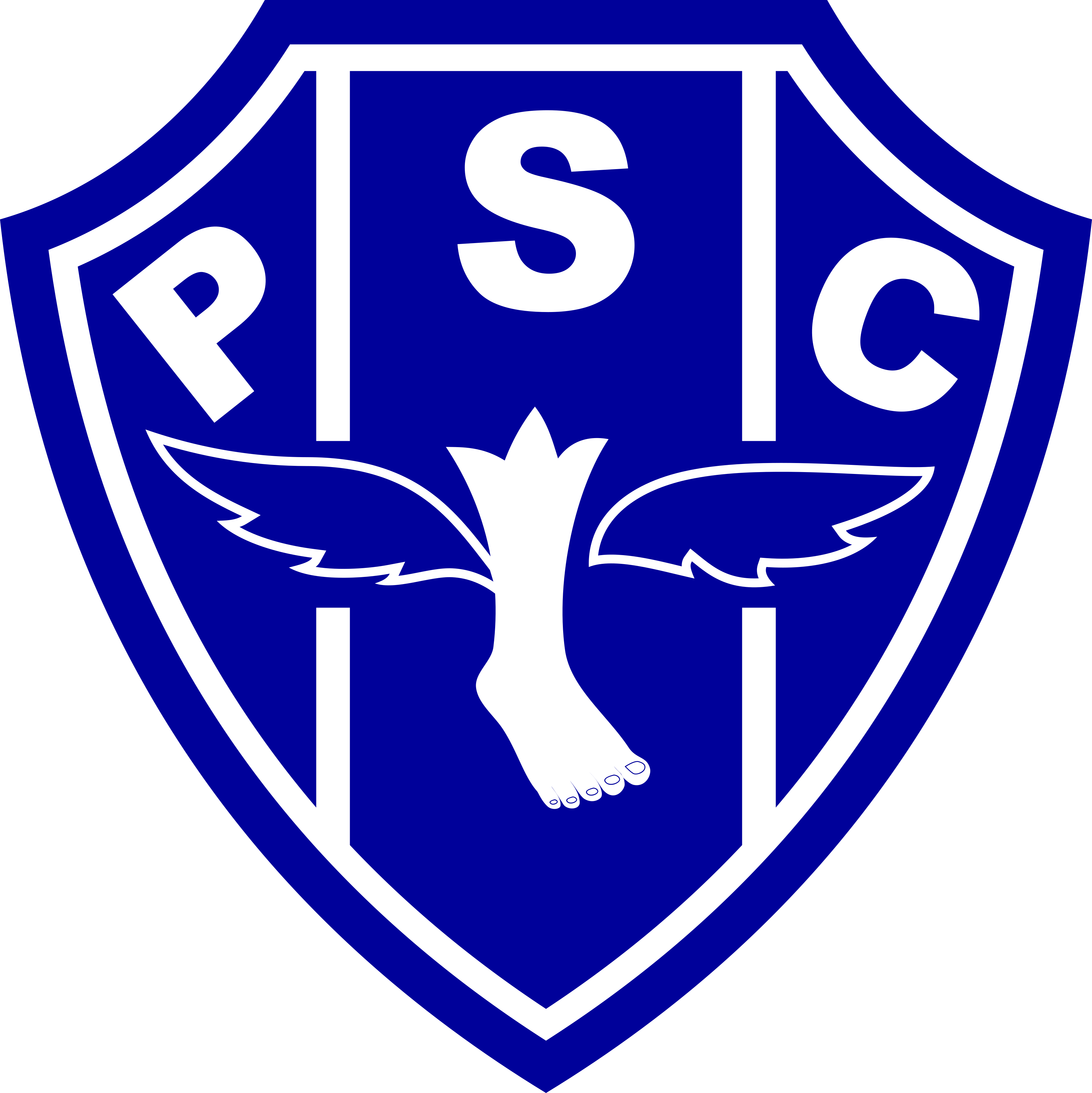 Paysandu logo, escudo.