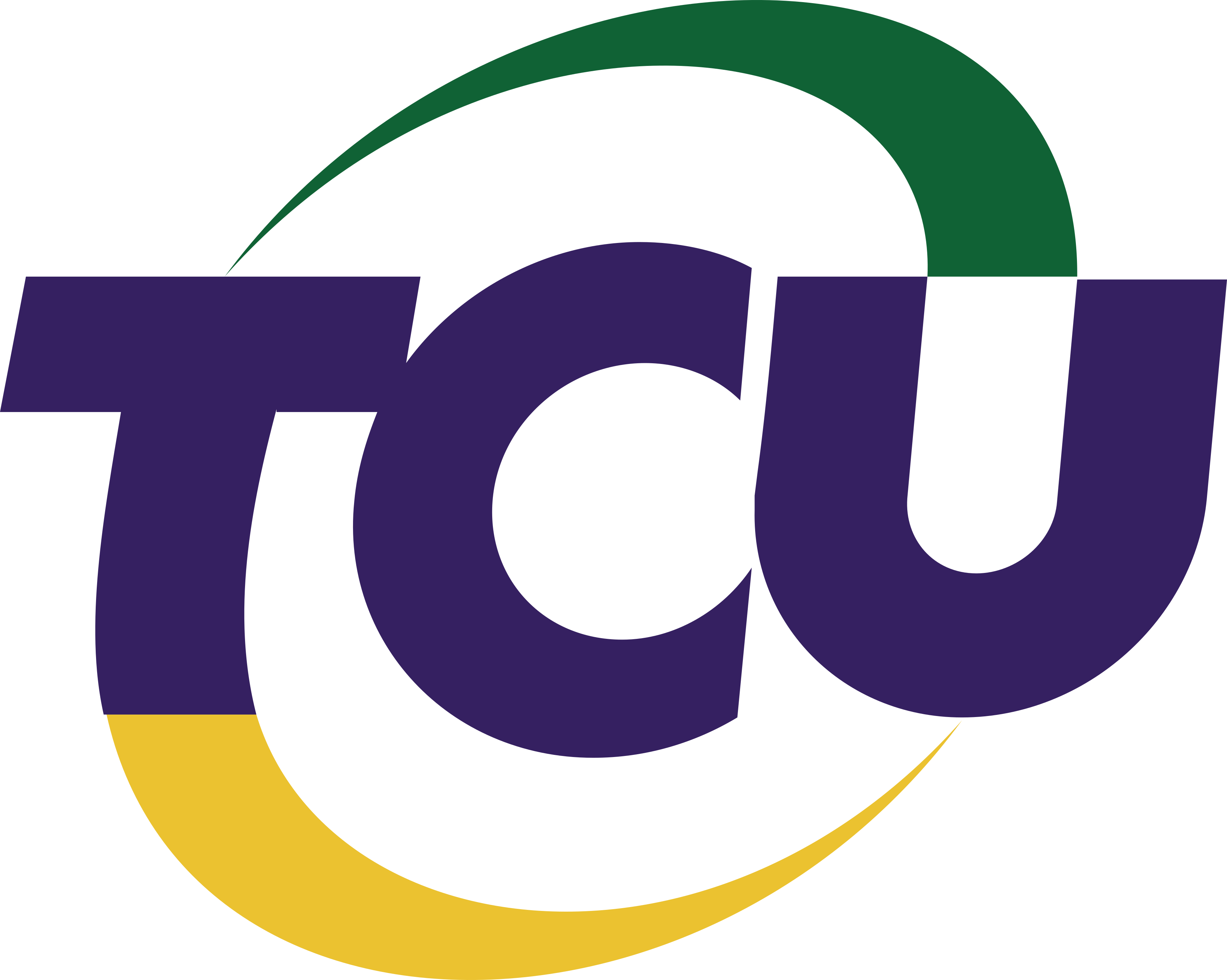 Tribunal de Contas da União , TCU Logo.
