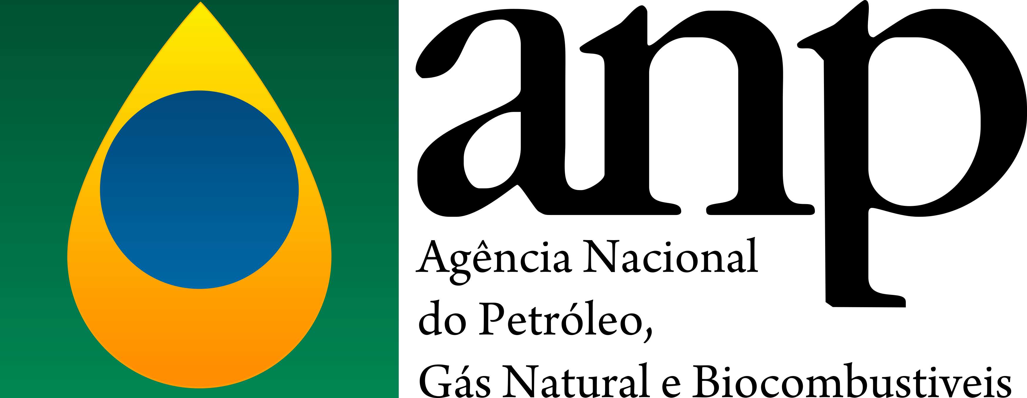 anp logo.