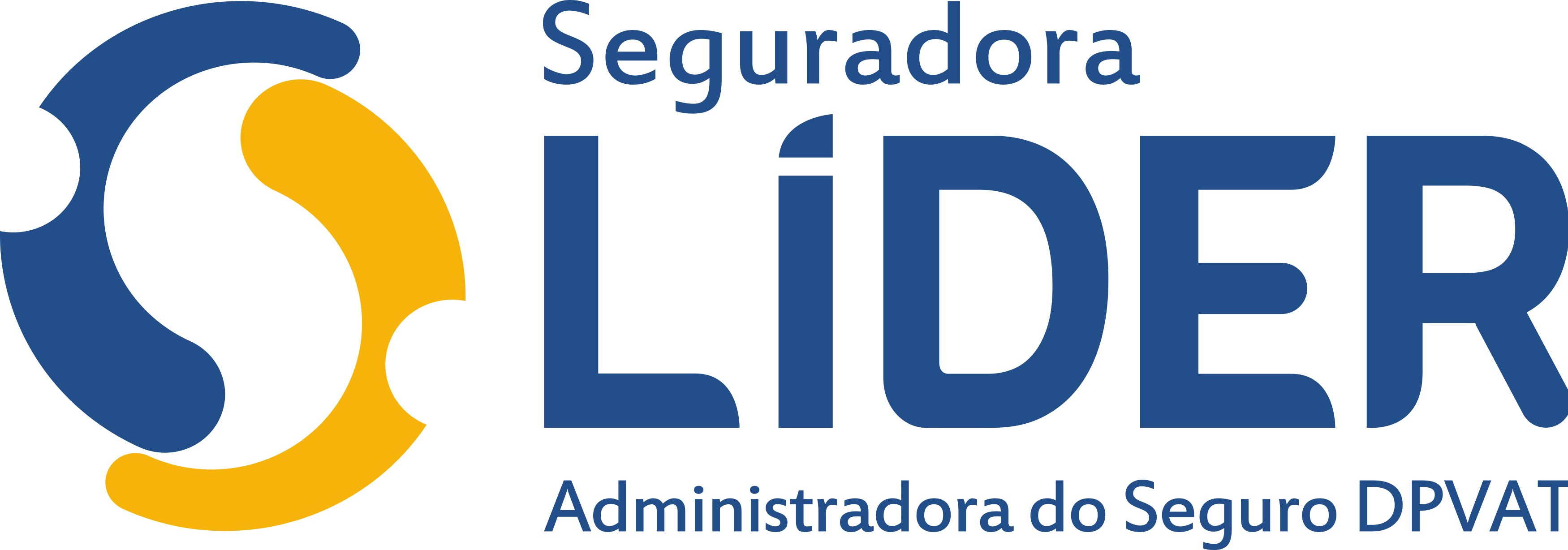 Seguradora Lider DPVAT Logo.