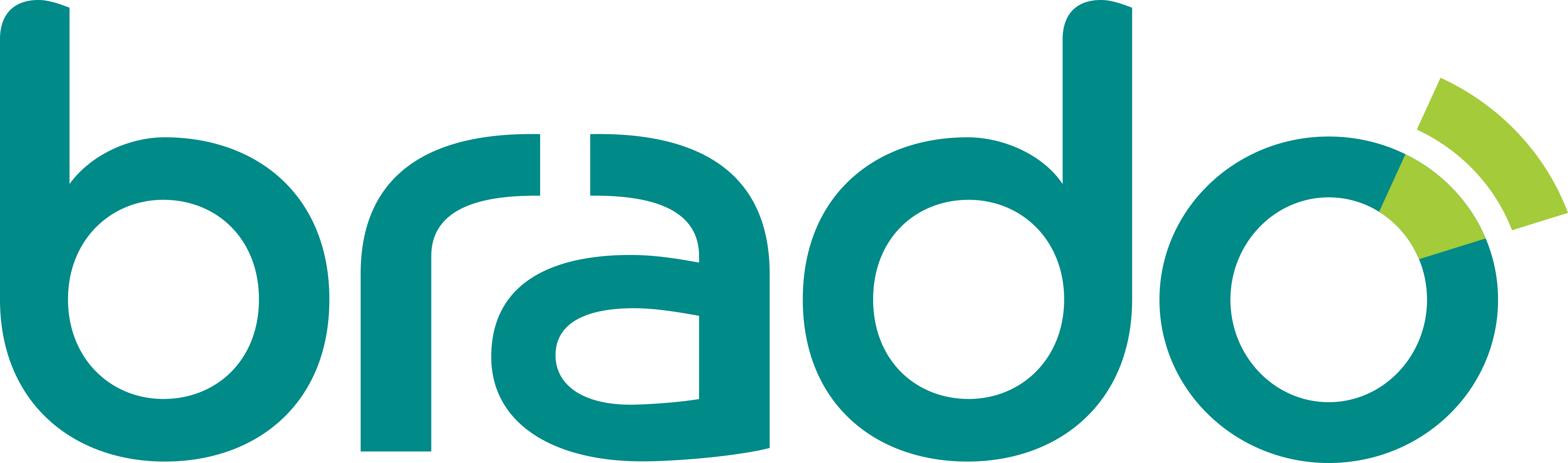 Brado Logística Logo.