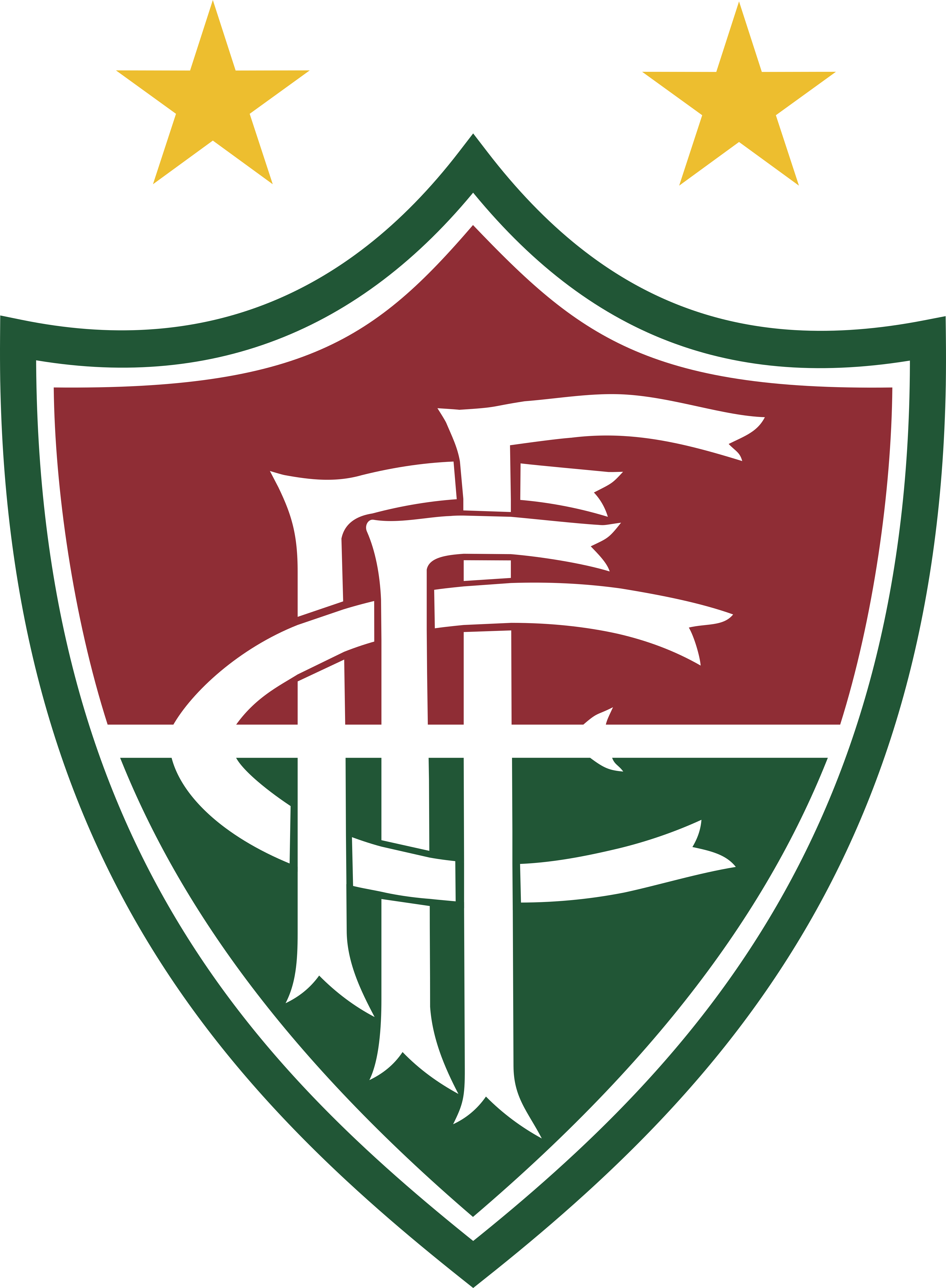 Fluminense de Feira FC Logo.