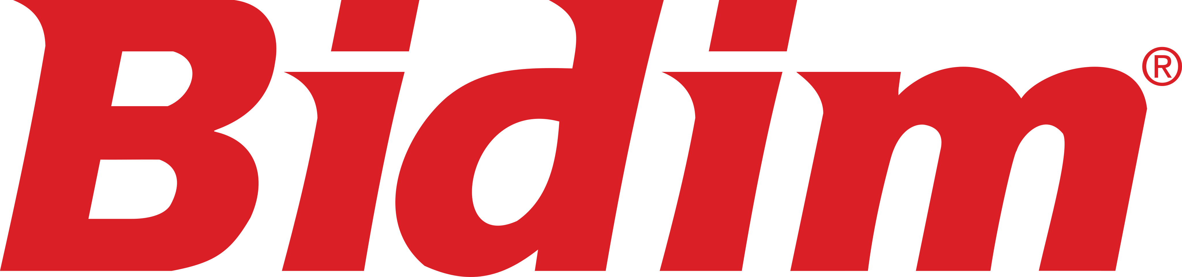 Bidim Logo.